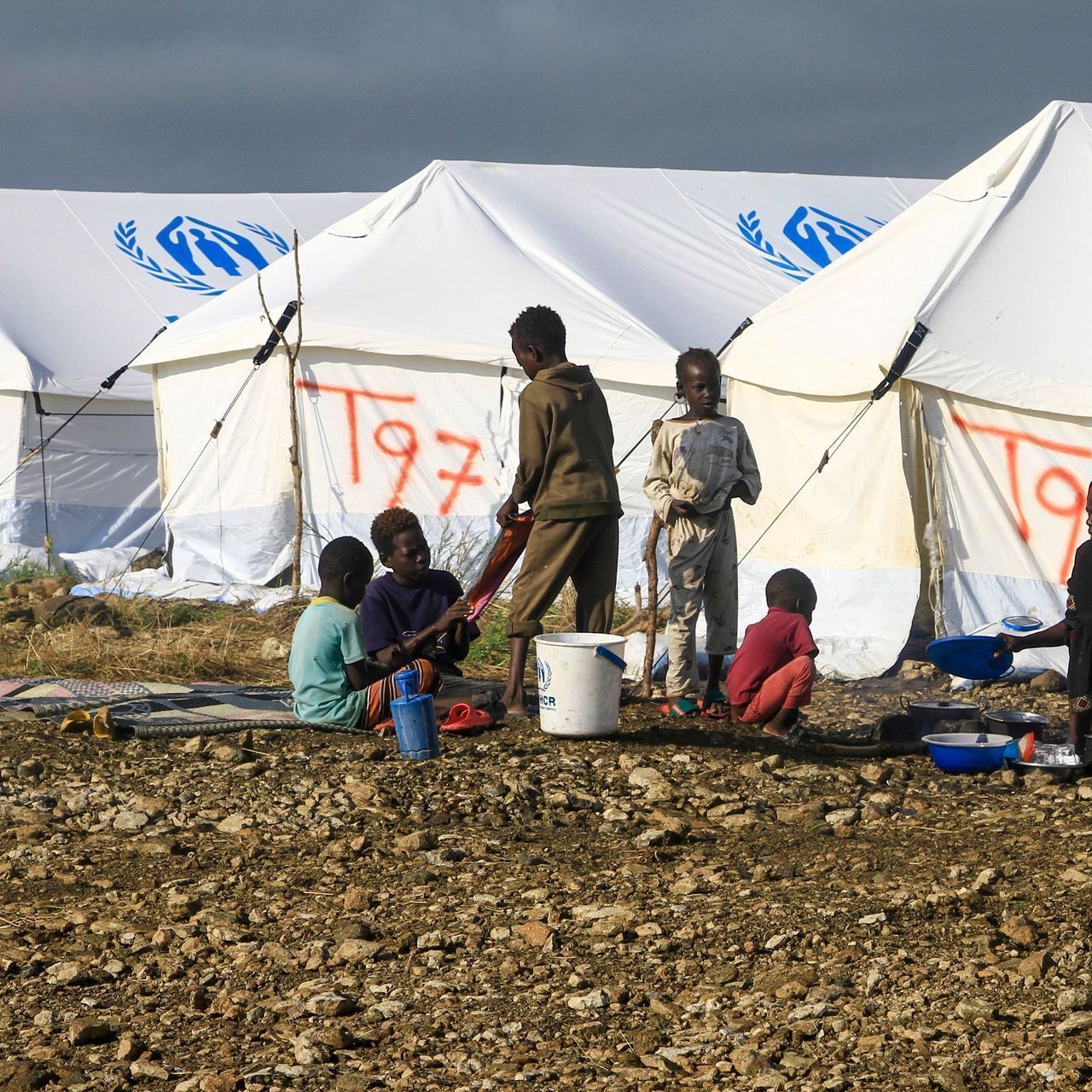 Two Afrikaner families from South Africa classified as refugees arrive in Iowa